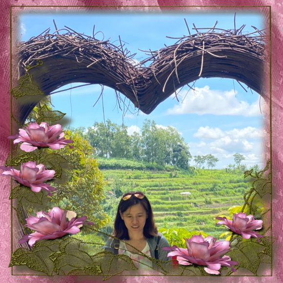 lilyys58
